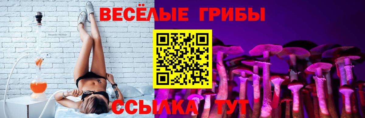 Камышин  Галлюциногенные грибы ЛСД  Вход с VPN  Псилоцибиновые грибы Psilocybine cubensis 